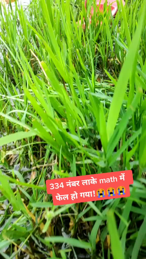 @RAVI KUMAR UP STAR🌟