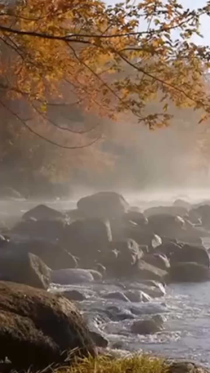 @Елена