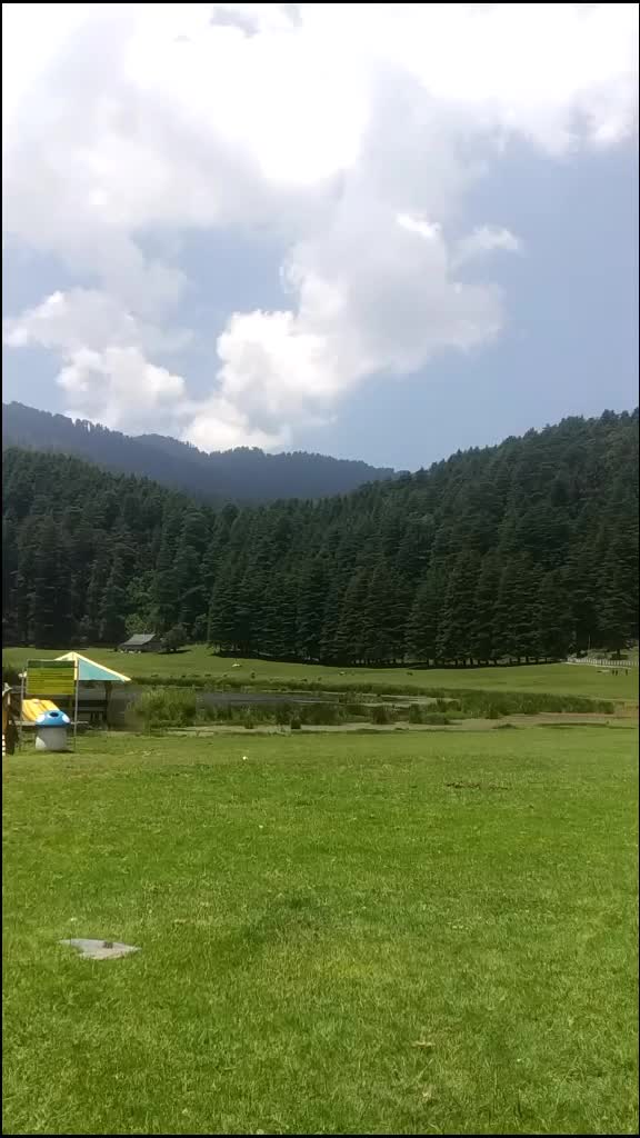 @Vishal Sharma6629