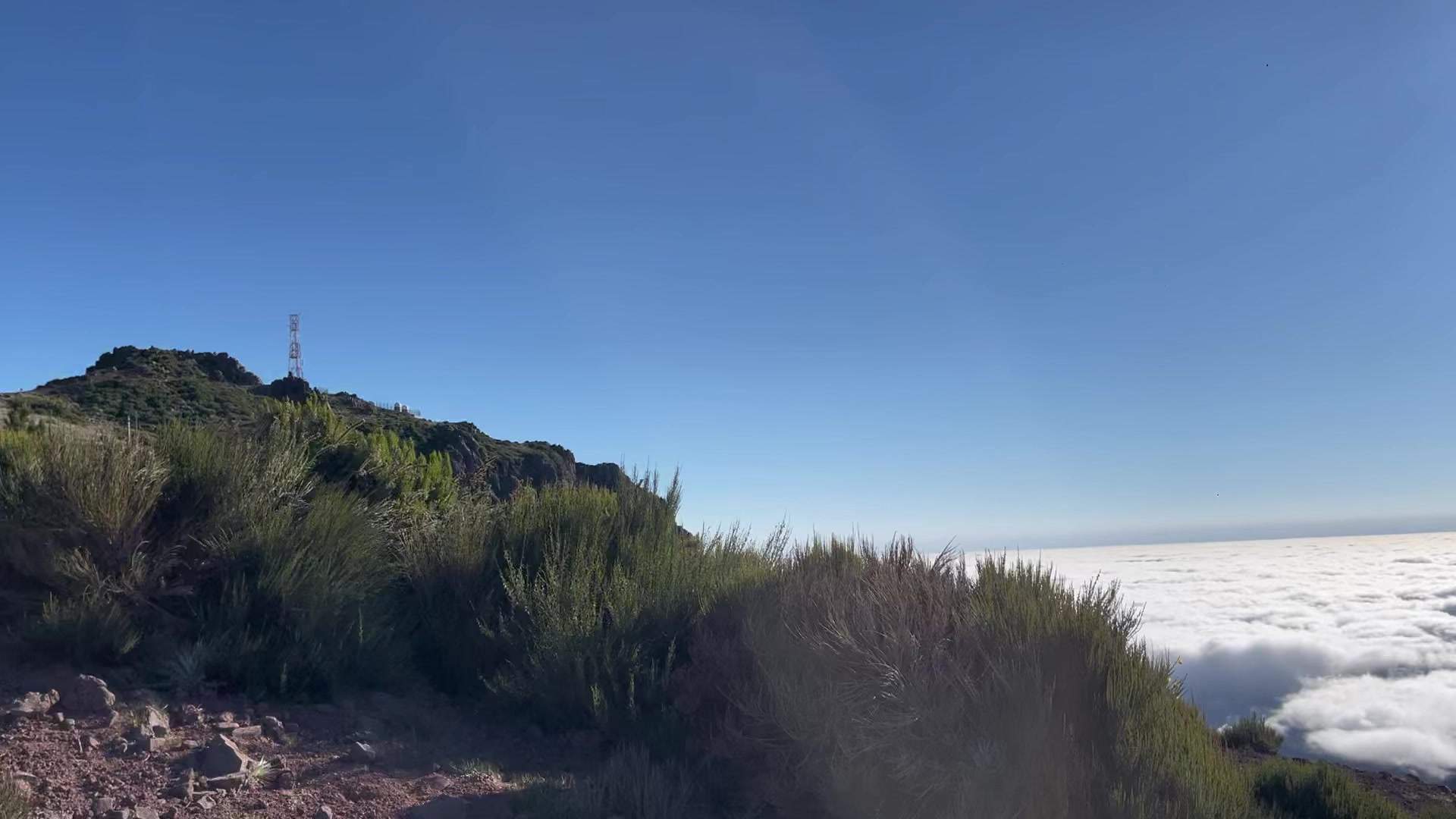 @Alison Scarlett