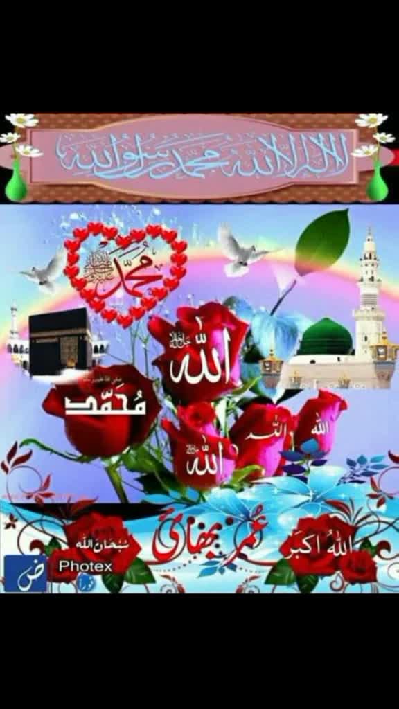 @Reeja Rahin