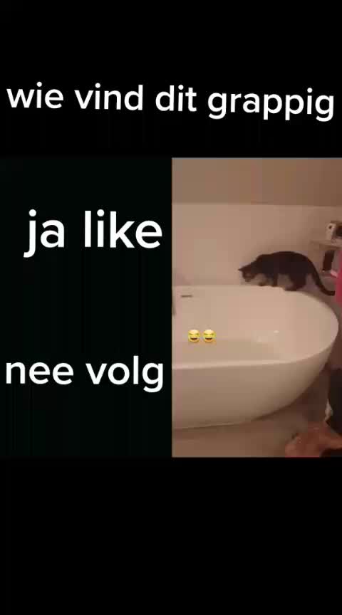 @mina_maria_freitas