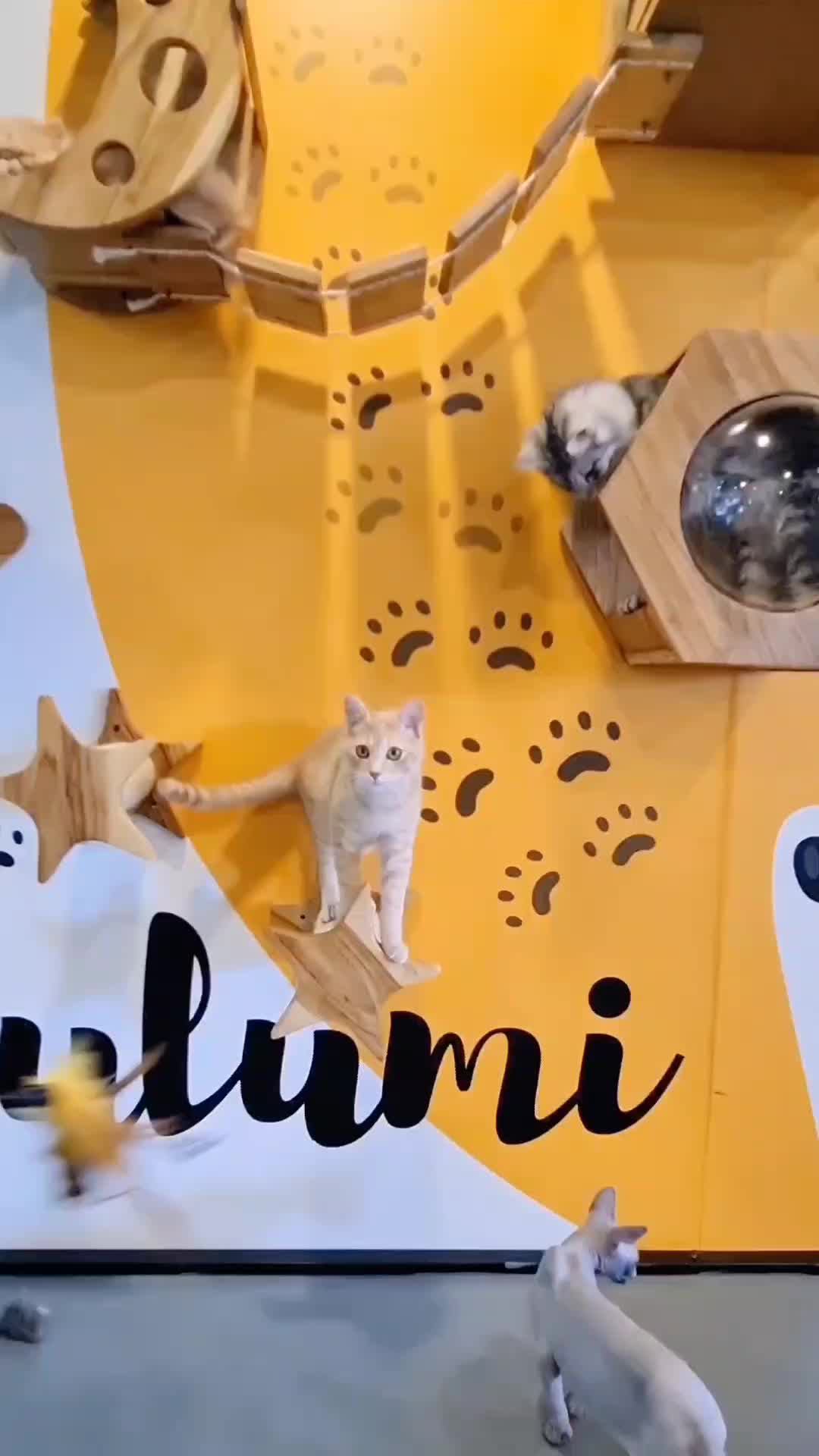 @LULUMI