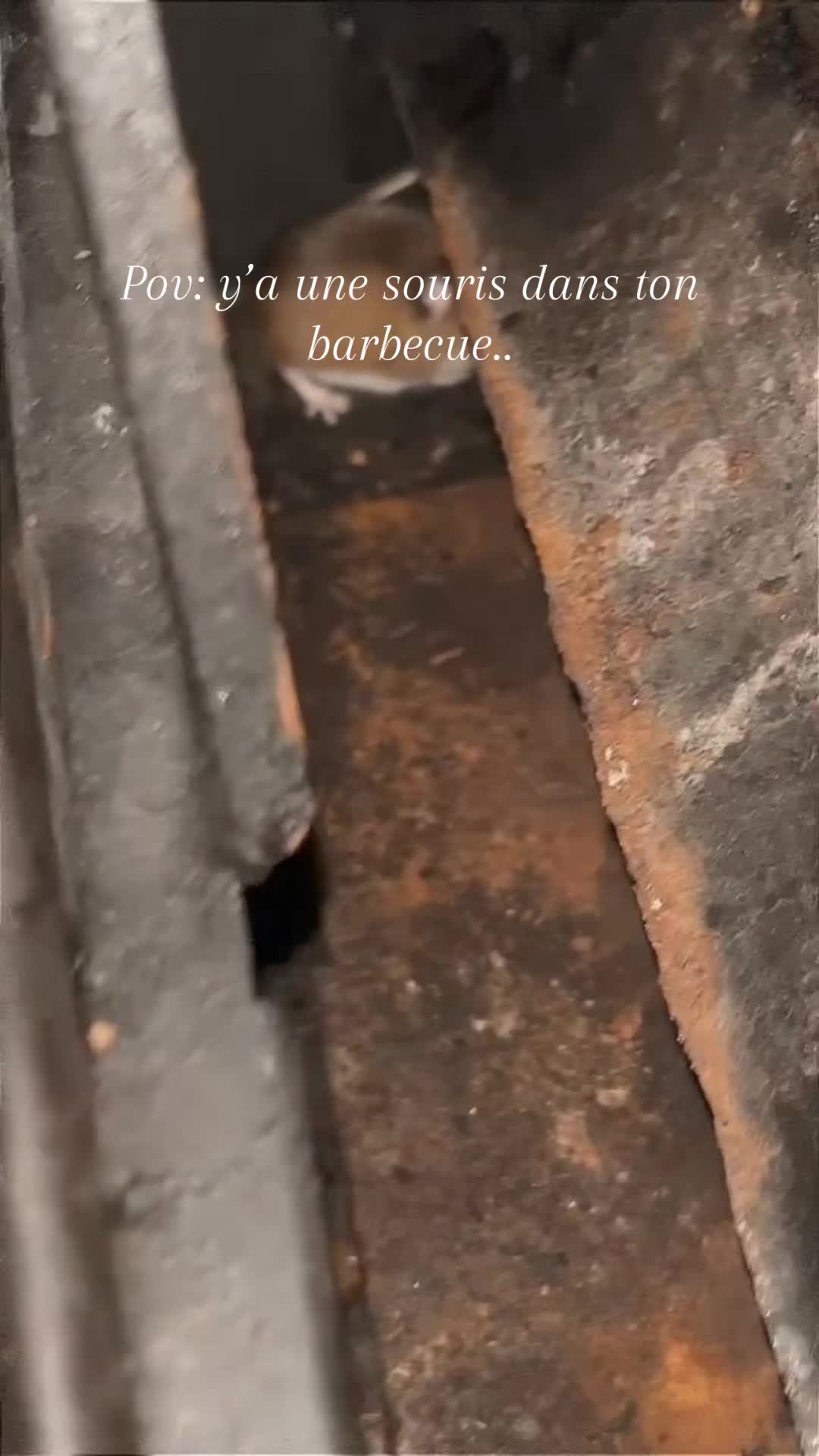 @Meganシ