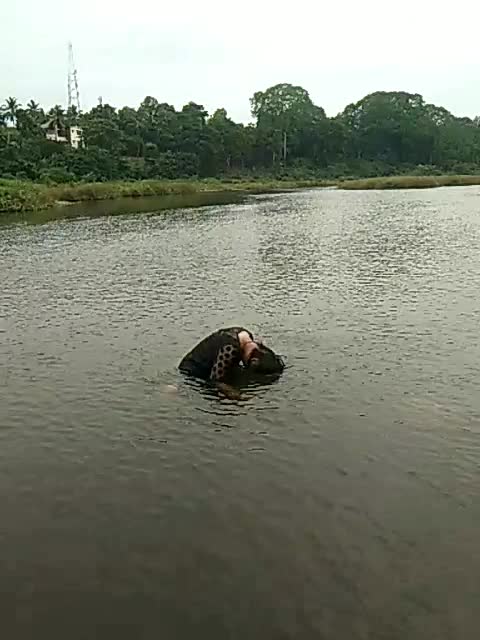 @Vaishnavi Raghunatha
