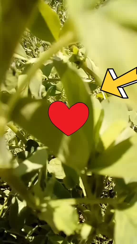 @fatma_kaya7676
