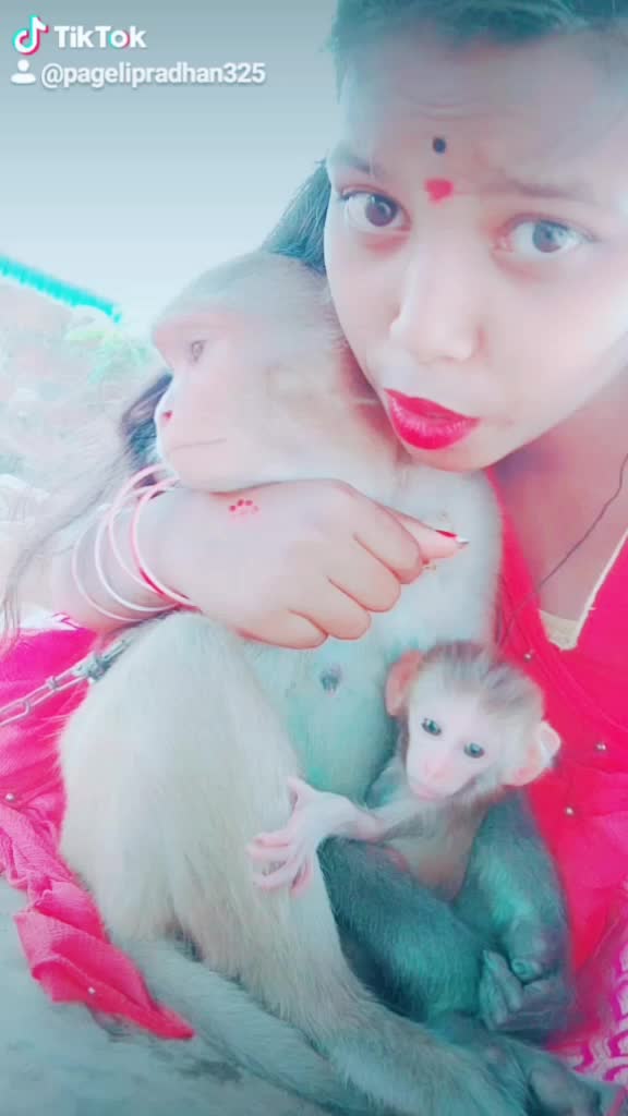 @😍animal lover😍