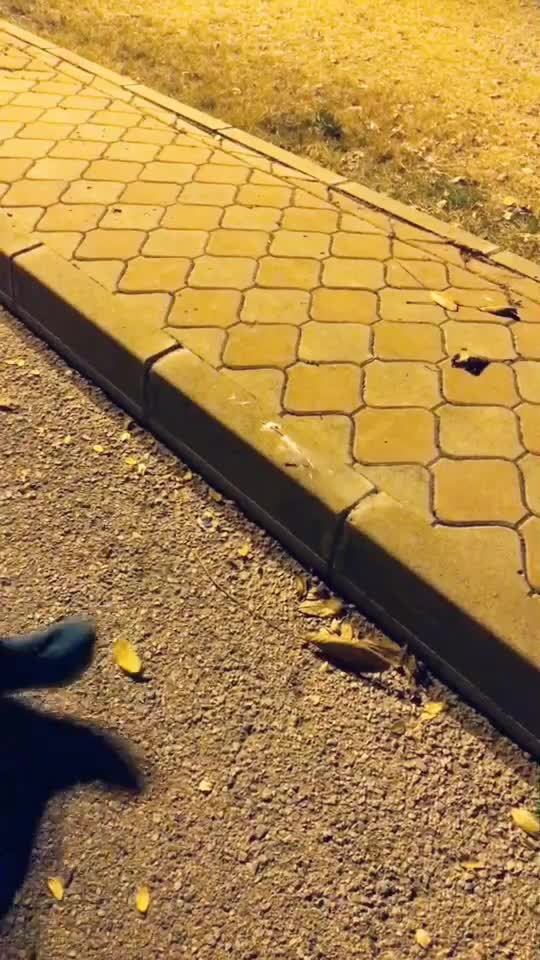 @Mert Sivrikaya