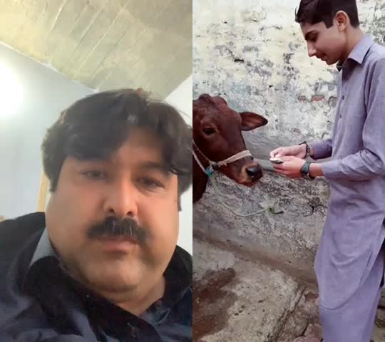 @Ishfaq Hassan