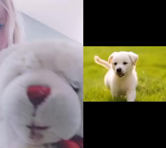 @Mira11