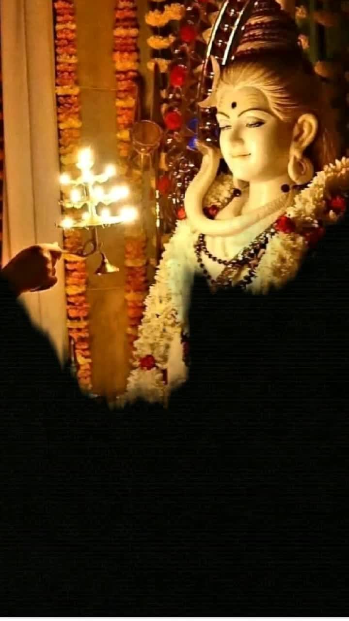 @nitashachopra