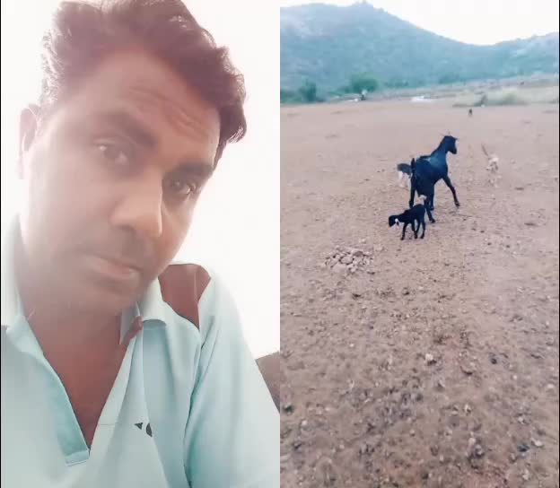 @sridhar shanigarapu