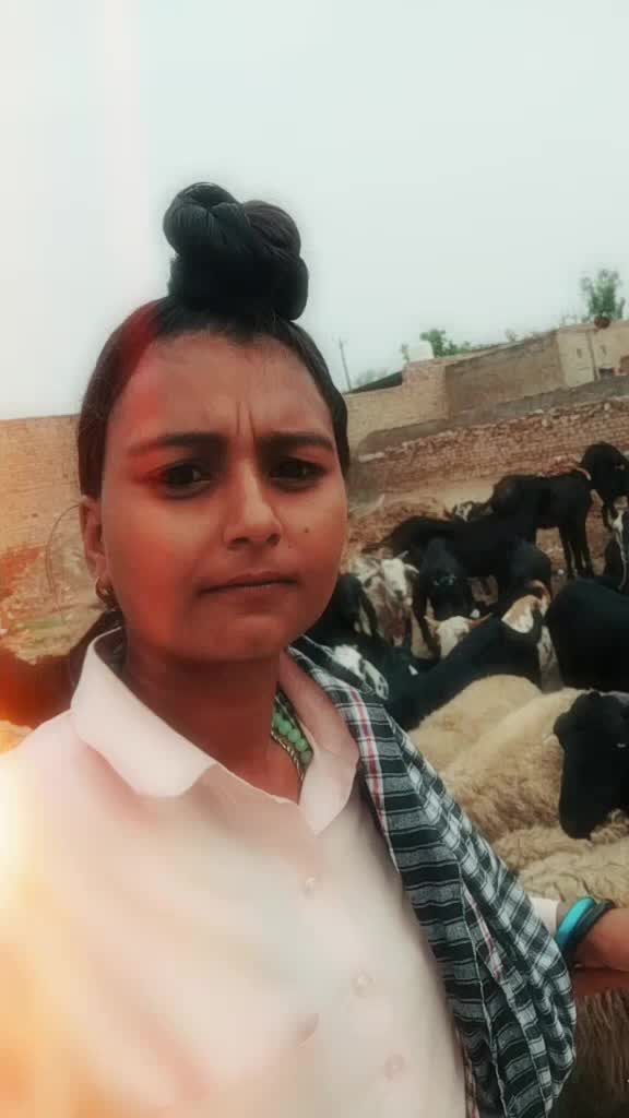 @user8616227522104