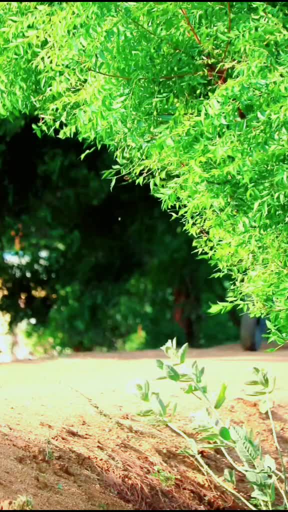 @saran k