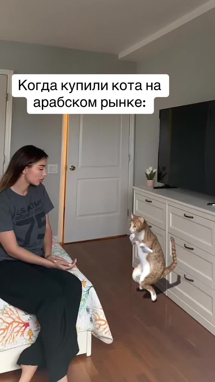 @Lola