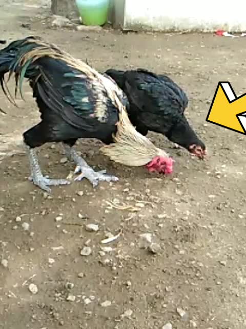 @user138649523962நான்