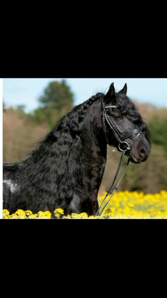 @Kamila Schleich