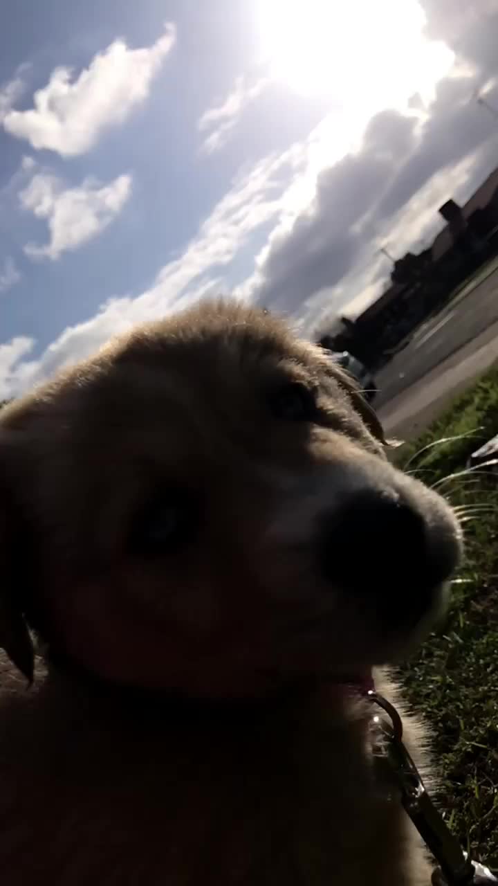 @𝐛𝐞𝚈𝙾𝚄𝐭𝐢𝐟𝐮𝐥