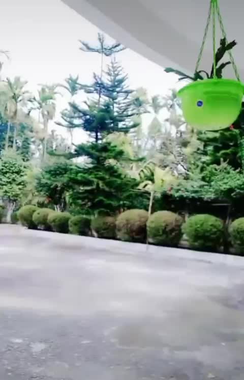 @Gungun Sharma