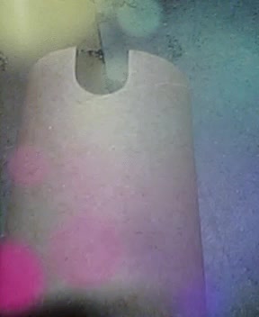 @Tannusharma1234