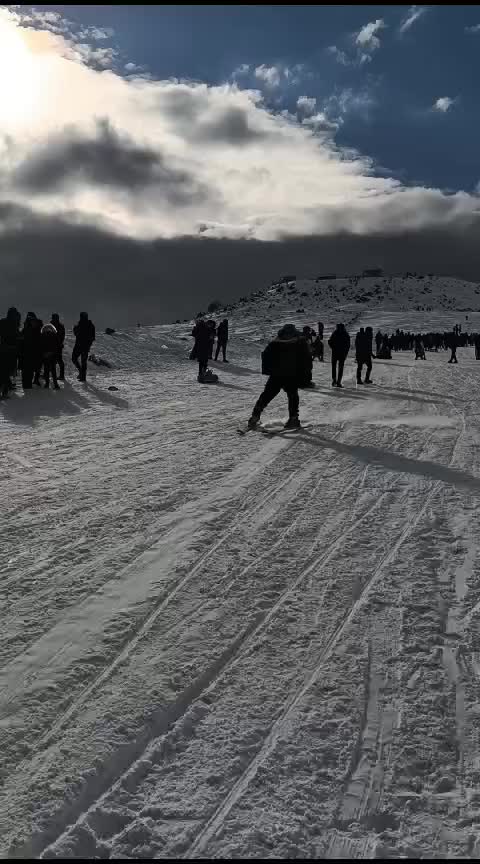 @şiyar KENGİŞ