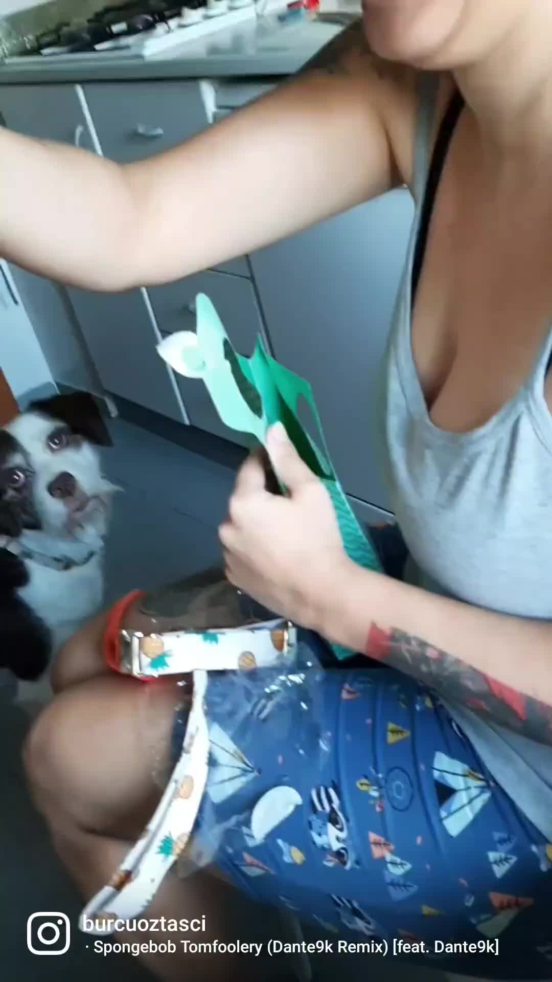 @Erzathehusky