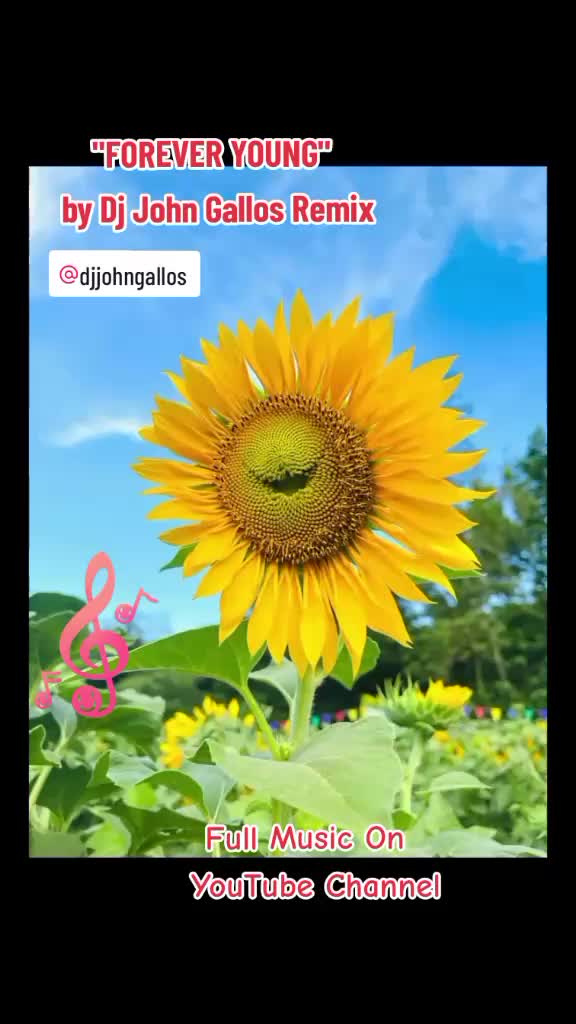 @Lhen 🌻