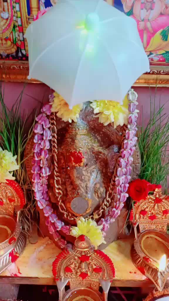 @vanitha
