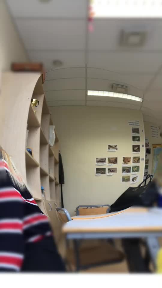 @Дэбилы