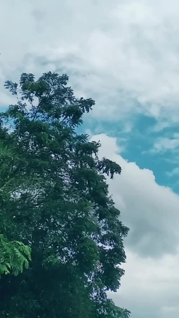@⚡$ØLØ_RÌDÈR⚡