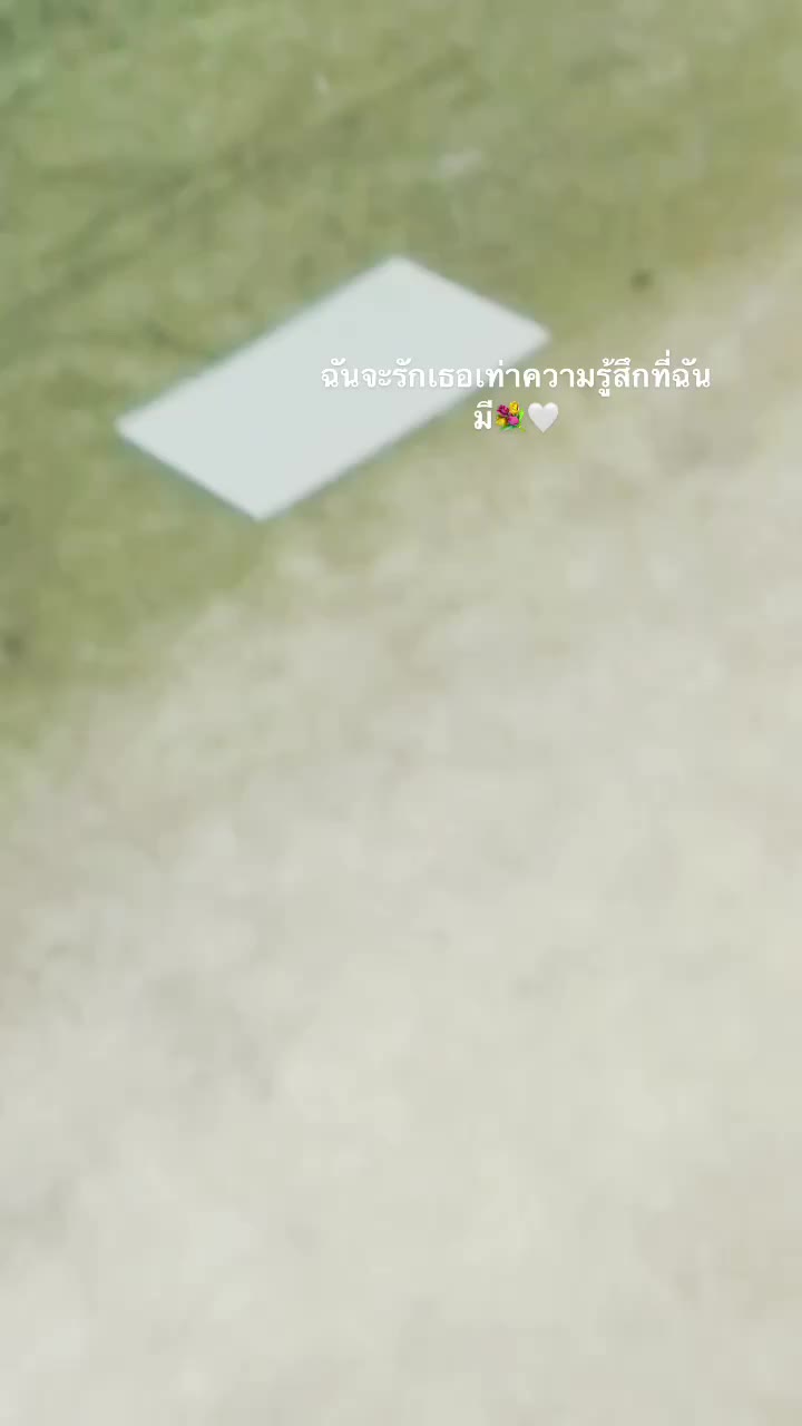 @🌟🤍