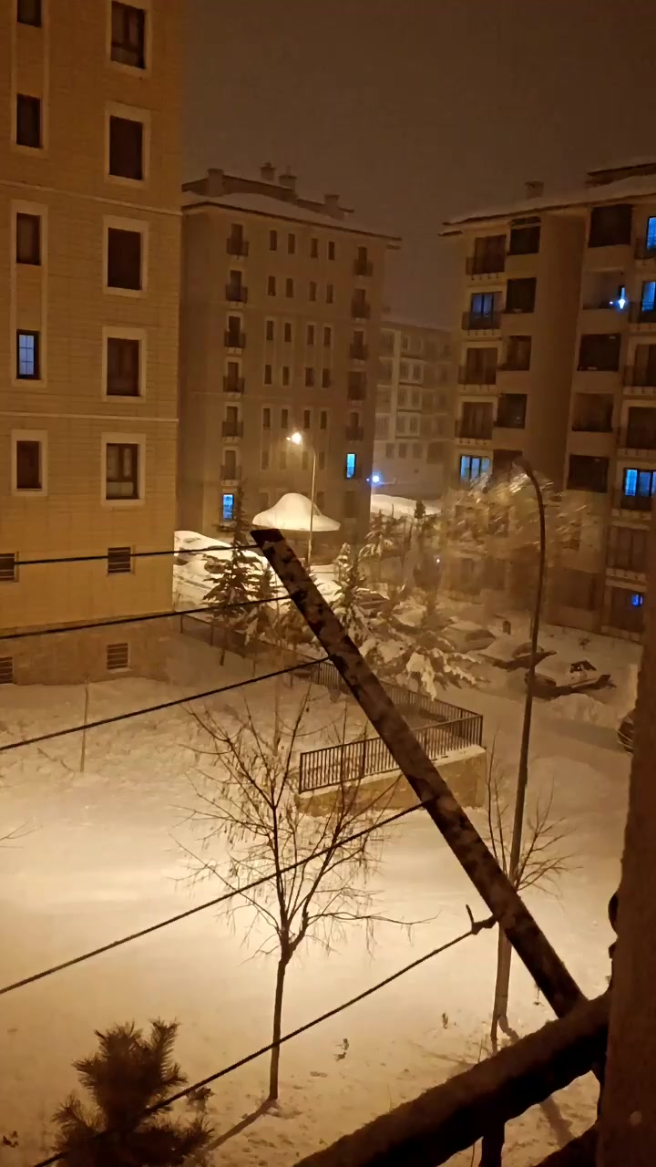 @Bet&uuml;ll🐆