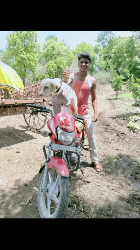 @kale patil