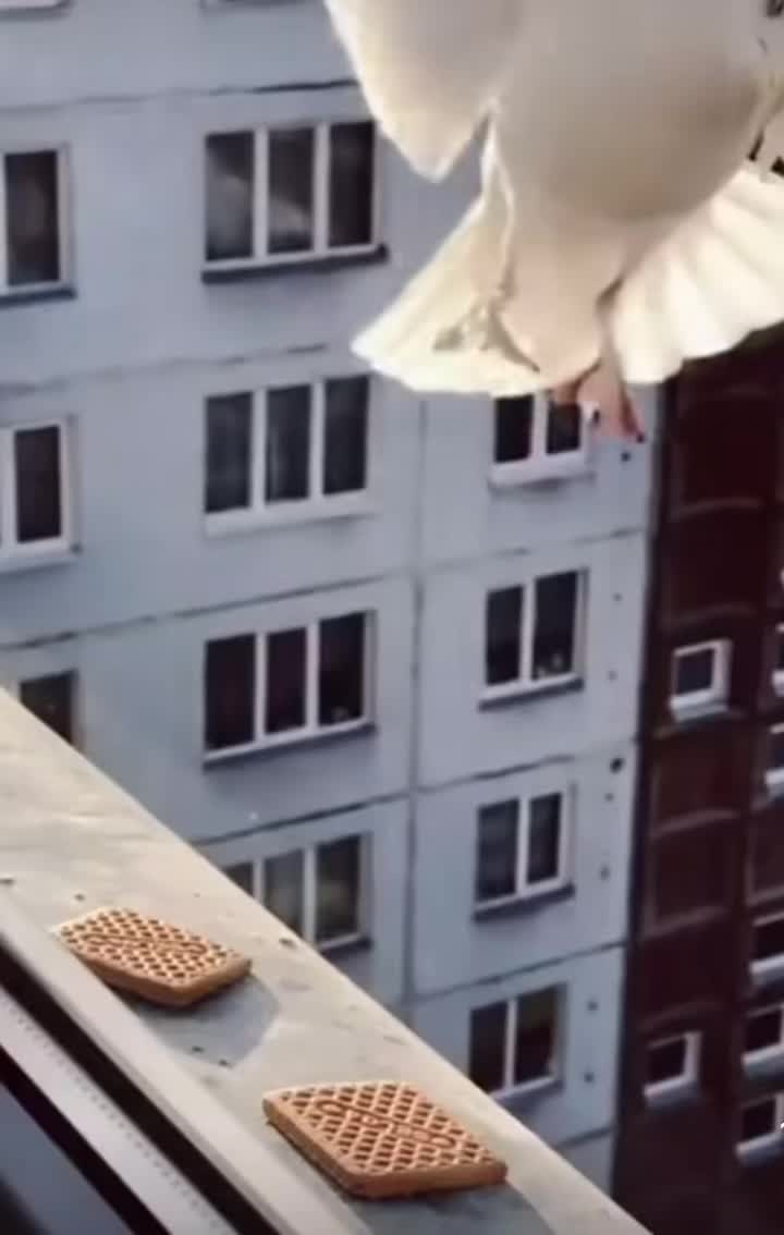@Uzmi