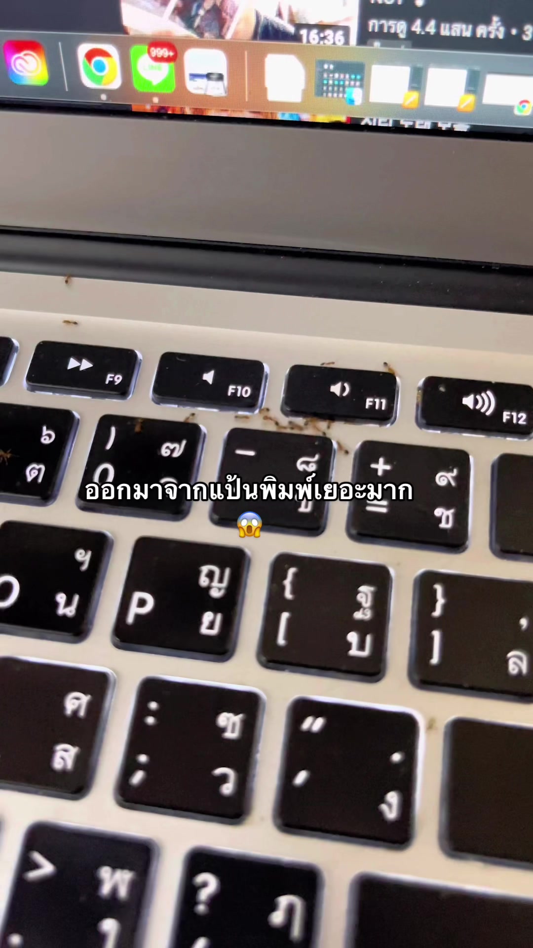 @Ayready(อาย)