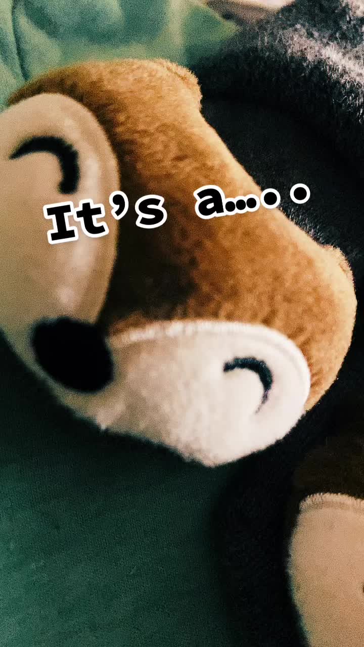 @Michelle