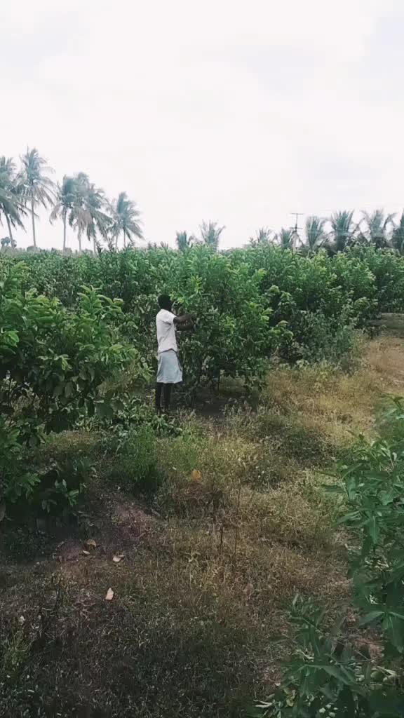@vetriselvam