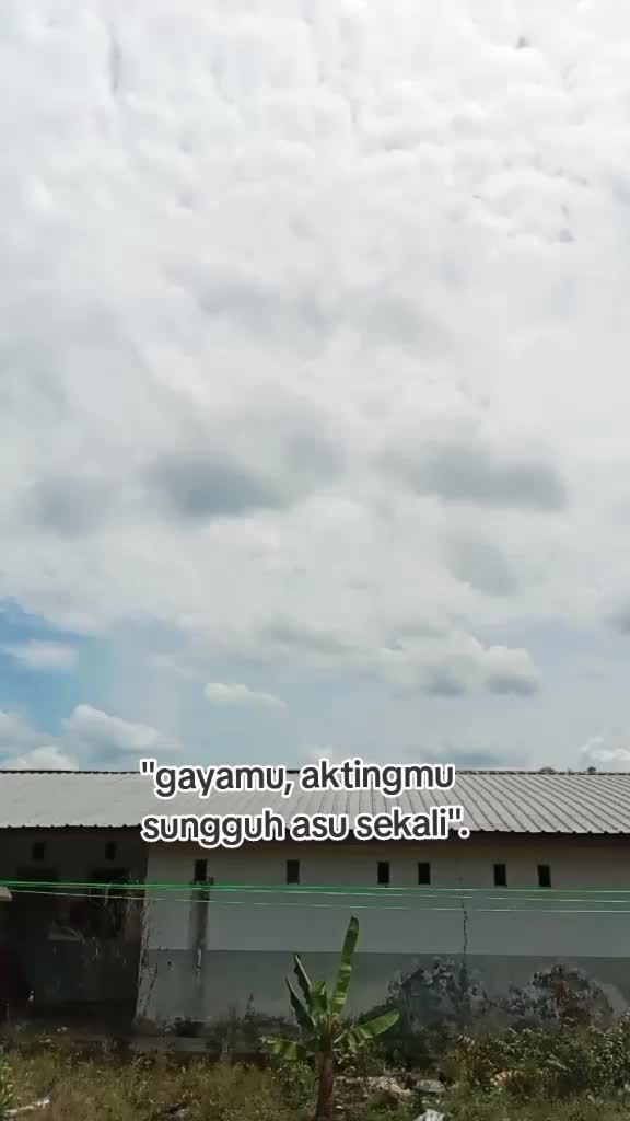 @iliy🦋💍