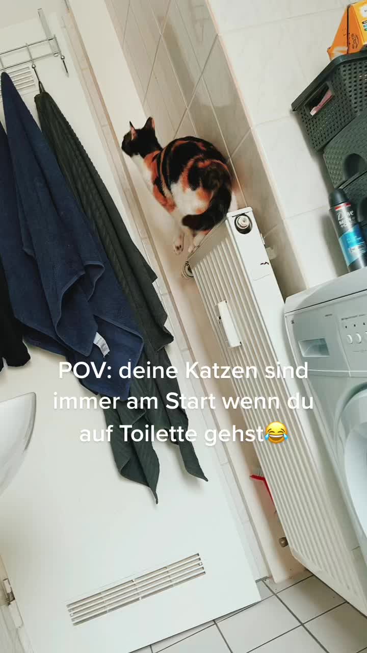 @🐥