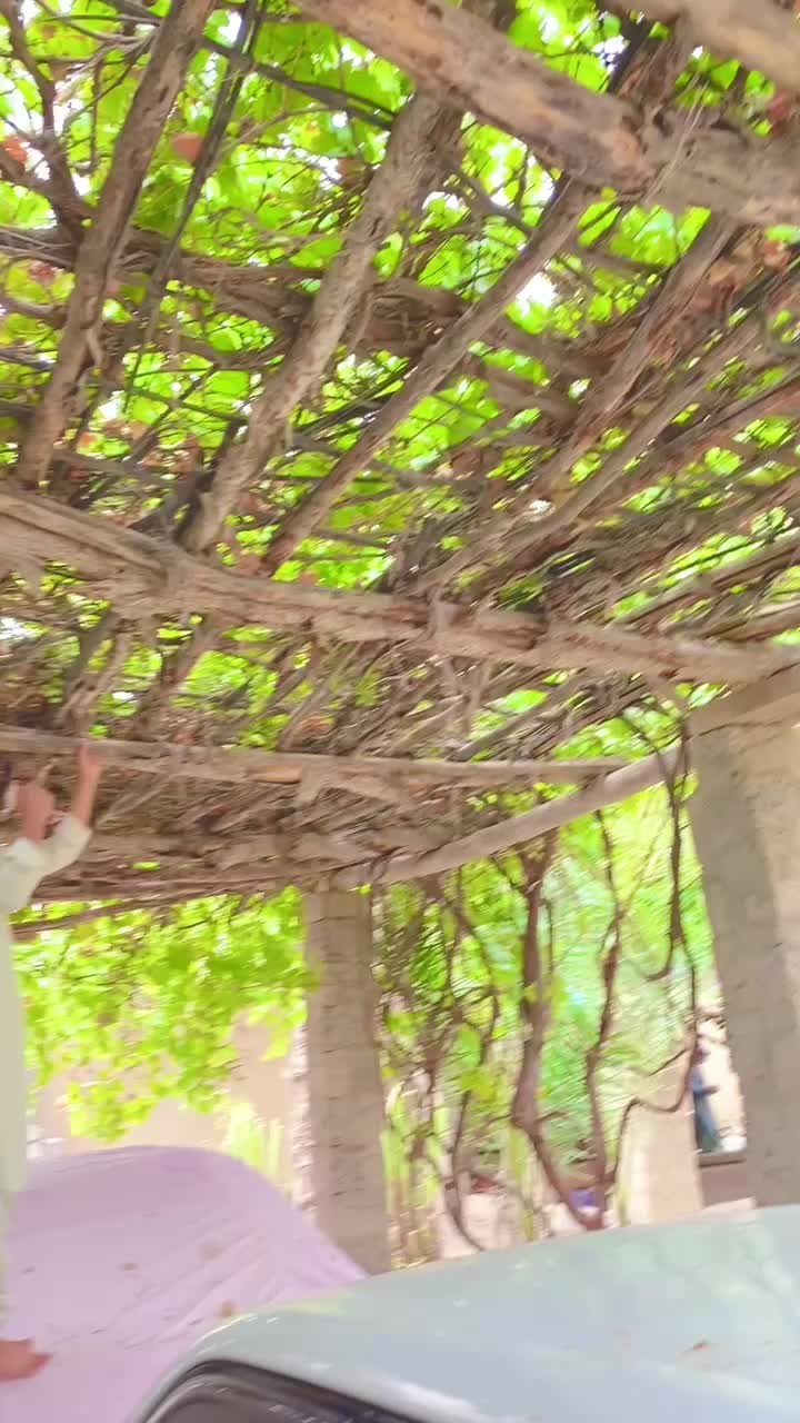 @Mir Masroor Mengal