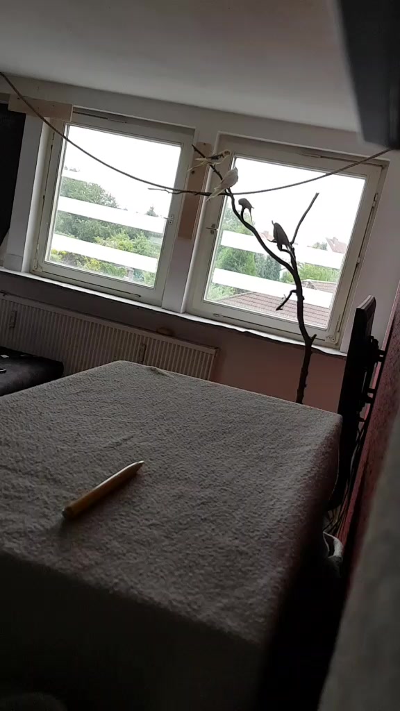 @Martin Vogel