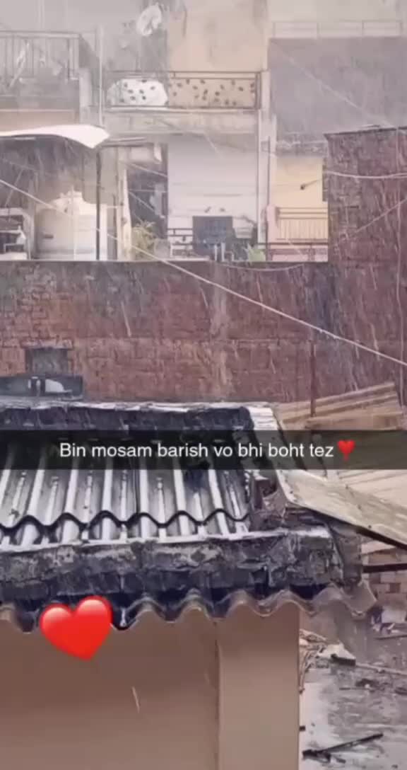 @nehashak2