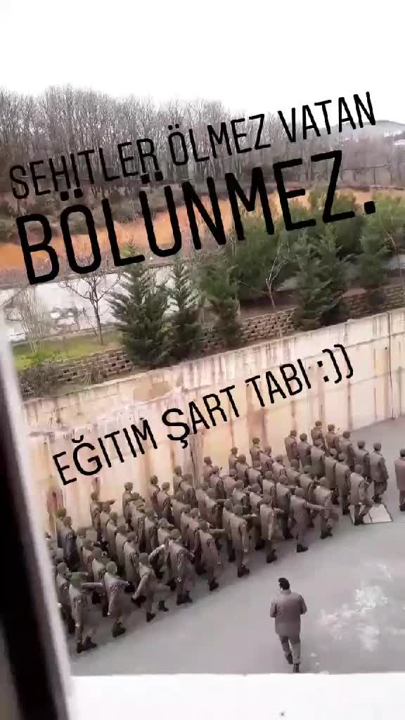 @tolgatas