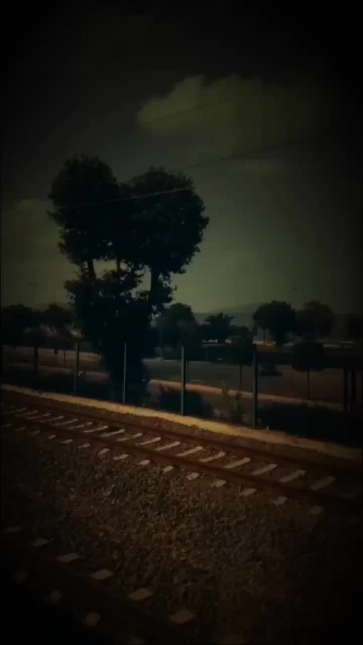 @𝐕𝐢𝐫𝐠𝐨'𝟖𝟒