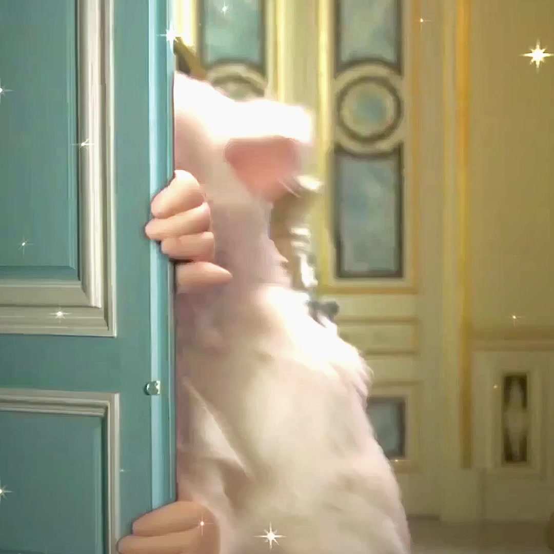 @burny | LETS BE MOOTS!!!!