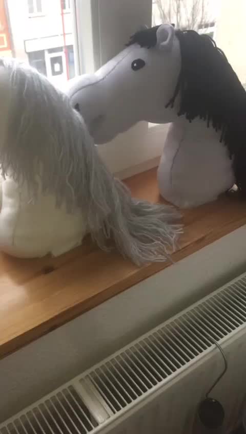 @Hobby horsing🤗🙂