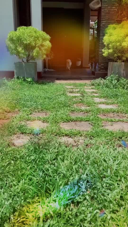 @Lumini Kodithuwakku 🧿