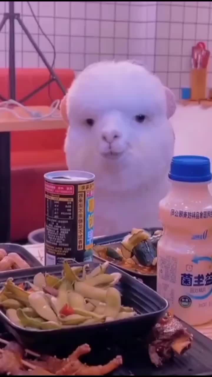 @JMDHY 1328