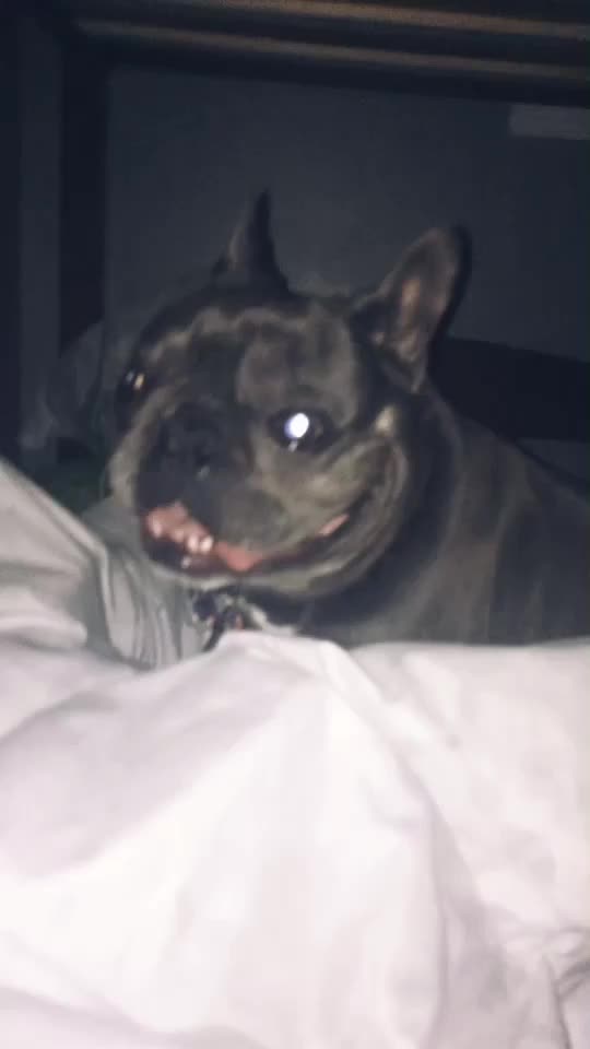 @_ᕼI_ᕼI_