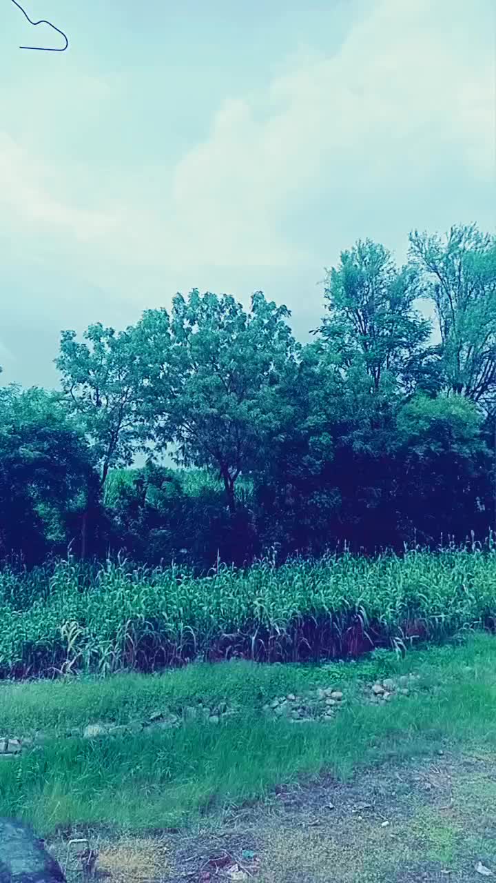 @SuryakantPanchal